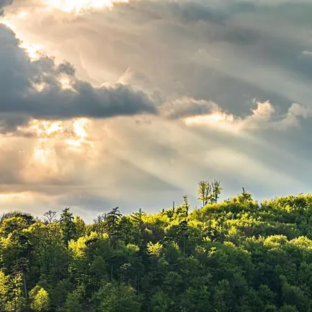 Prázdninový dům Haus Dina Bodenwerder