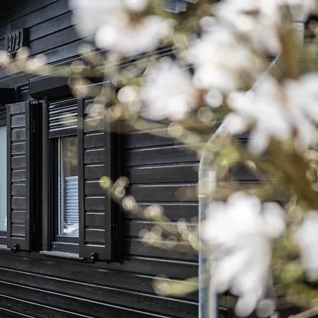 Haus Dina Hébergement de vacances *