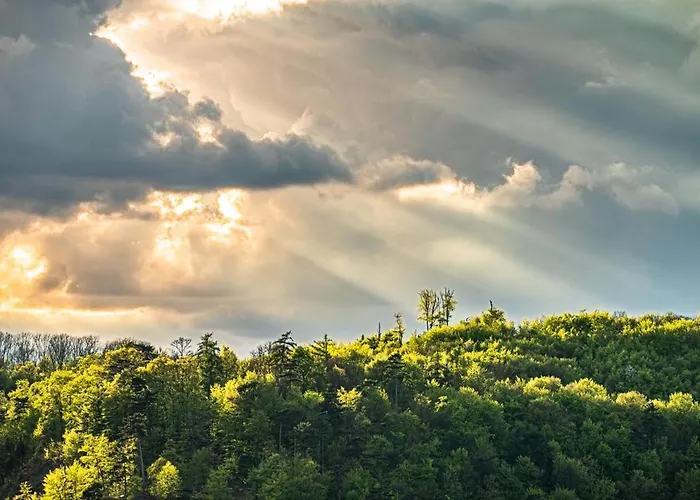 Hébergement de vacances Haus Dina Bodenwerder