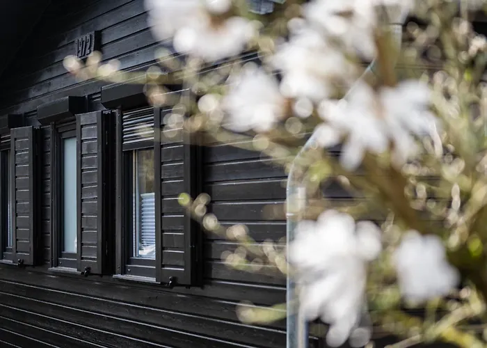 Haus Dina Hébergement de vacances *