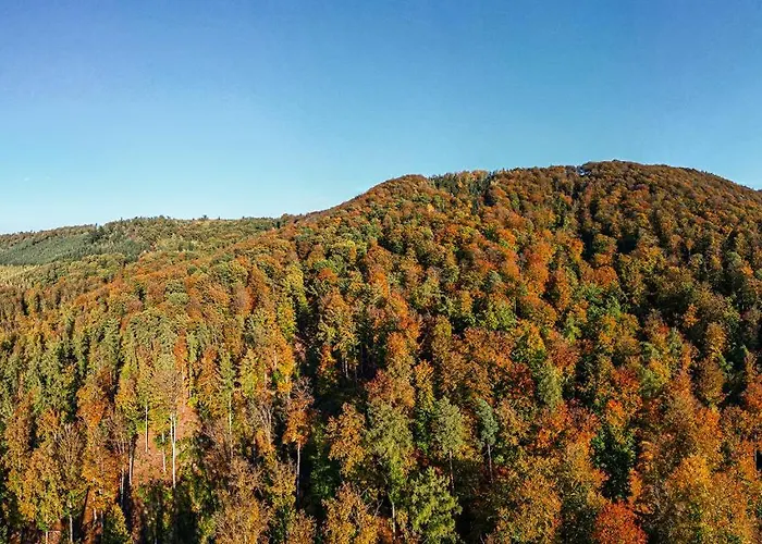 Haus Dina Hébergement de vacances Bodenwerder